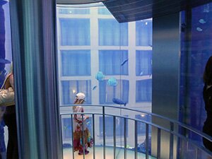 Aquadom, photo &copy; allemagnevoyage