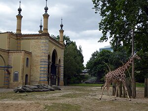 Zoo de Berlin, photo &copy; allemagnevoyage