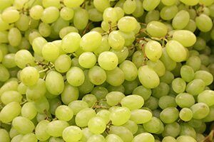 Salon Fruit Logistica Berlin