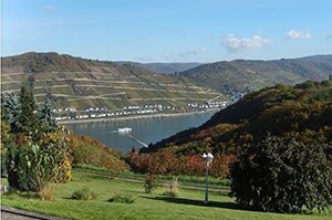 Locations de maisons et appartements à Bacharach 