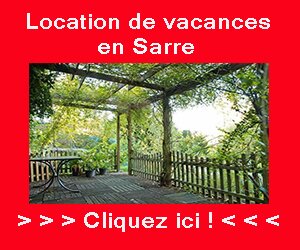 Location de maisons et appartements de vacances dans la région Sarre 