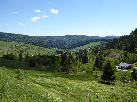 Carte postale du Foret Noire as 3d map