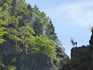 Vallée d'Enfer (Höllental), photo © allemagnevoyage