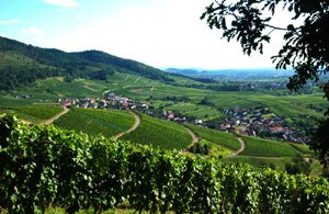 Rebland région de Baden Baden