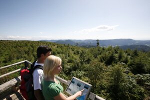 Forêt autour de Baiersbronn