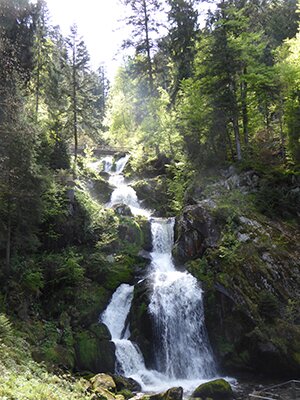 Cascades de Triberg, photo © allemagnevoyage