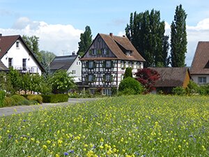 Île de Reichenau Photo © allemagnevoyage