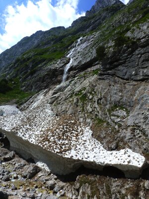 Glacier Grainau