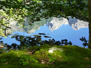 Reflets sur l'Obersee
