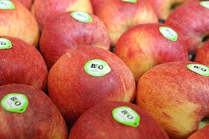 Foire Biofach Nuremberg
