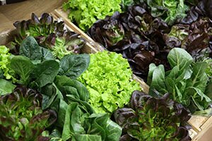 Foire Biofach Nuremberg