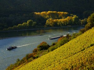Vignobles à Rüdesheim