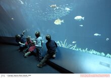 Musée de la Mer à Stralsund