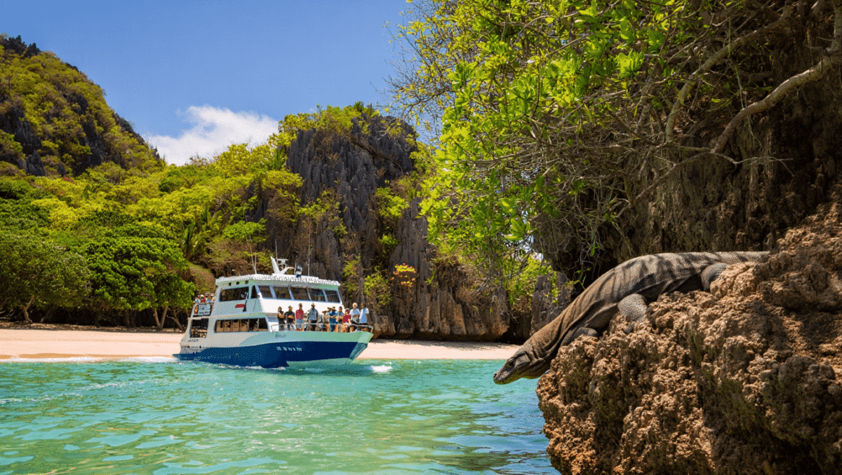 Croisière dans les îles Komodo : le guide pour s’organiser !