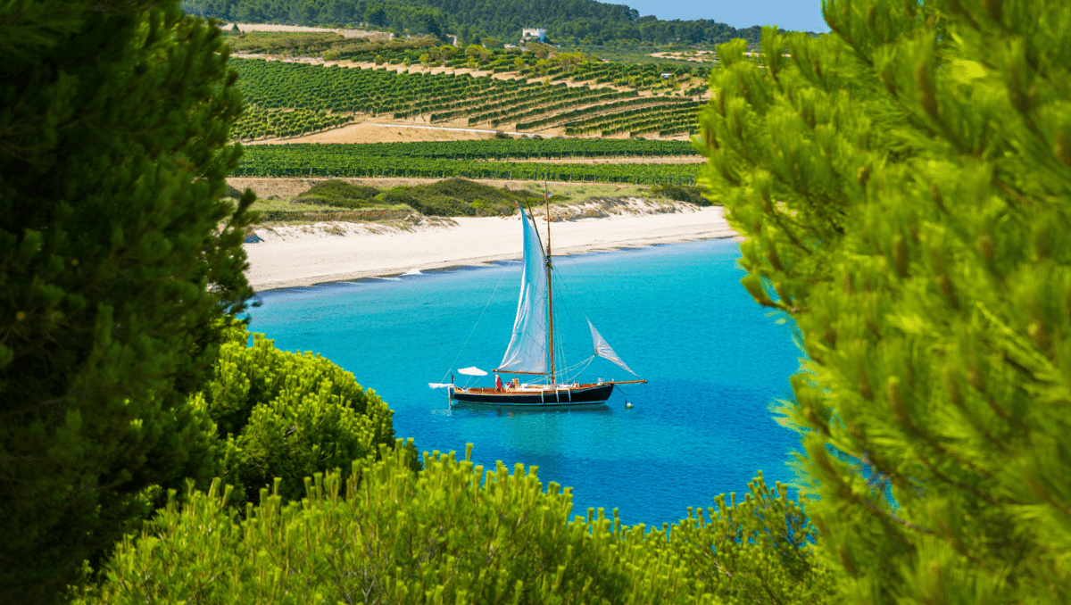 Que faire sur l’île des Embiez, le paradis caché dans le Var
