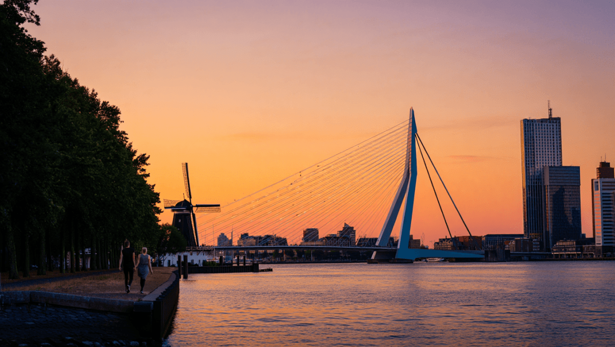 QUE FAIRE À ROTTERDAM ET SES ALENTOURS ? WEEK-END ENTRE VILLE ET NATURE