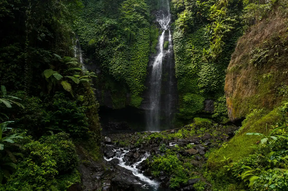 Cascade spectaculaire entour&eacute;e de v&eacute;g&eacute;tation tropicale dans un cirque naturel