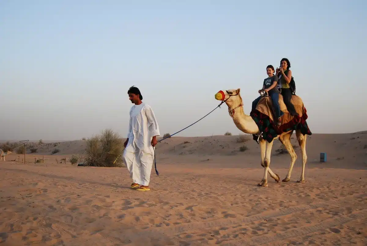 Safari en désert avec dunes dorées et silhouettes de chameaux