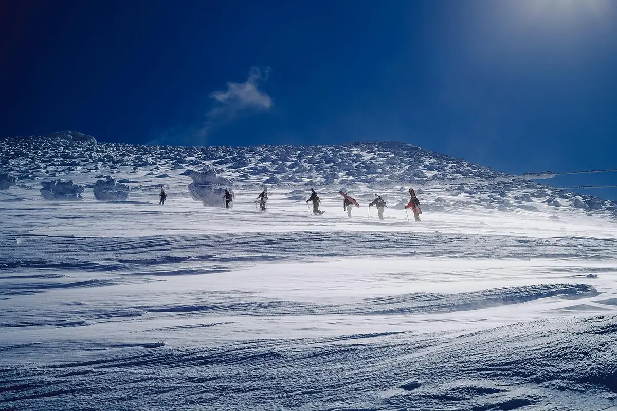 Guides et porteurs travaillant ensemble lors d'une expédition de trek en montagne