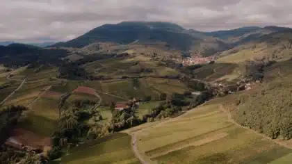 Cycliste sur une piste cyclable plate longeant un fleuve, vignobles et villages à colombages en arrière-plan