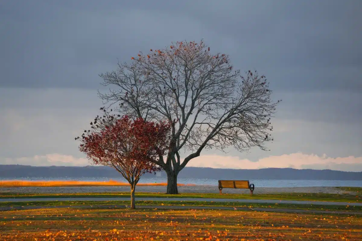 Plage calme en automne avec chaises longues vides et silhouette marchant au coucher du soleil
