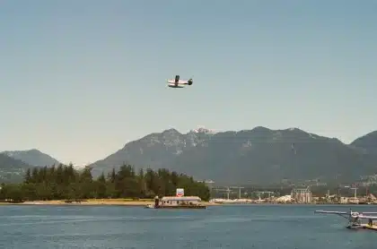 Dock en bois face à une forêt côtière avec montagnes brumeuses en arrière-plan sur l'île de Vancouver