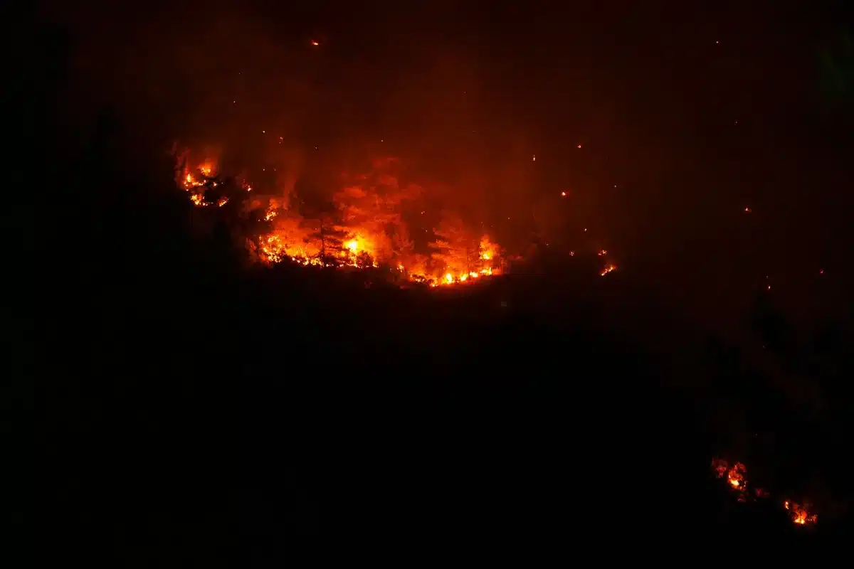 Incendie de forêt se propageant vers une côte méditerranéenne avec évacuation en cours