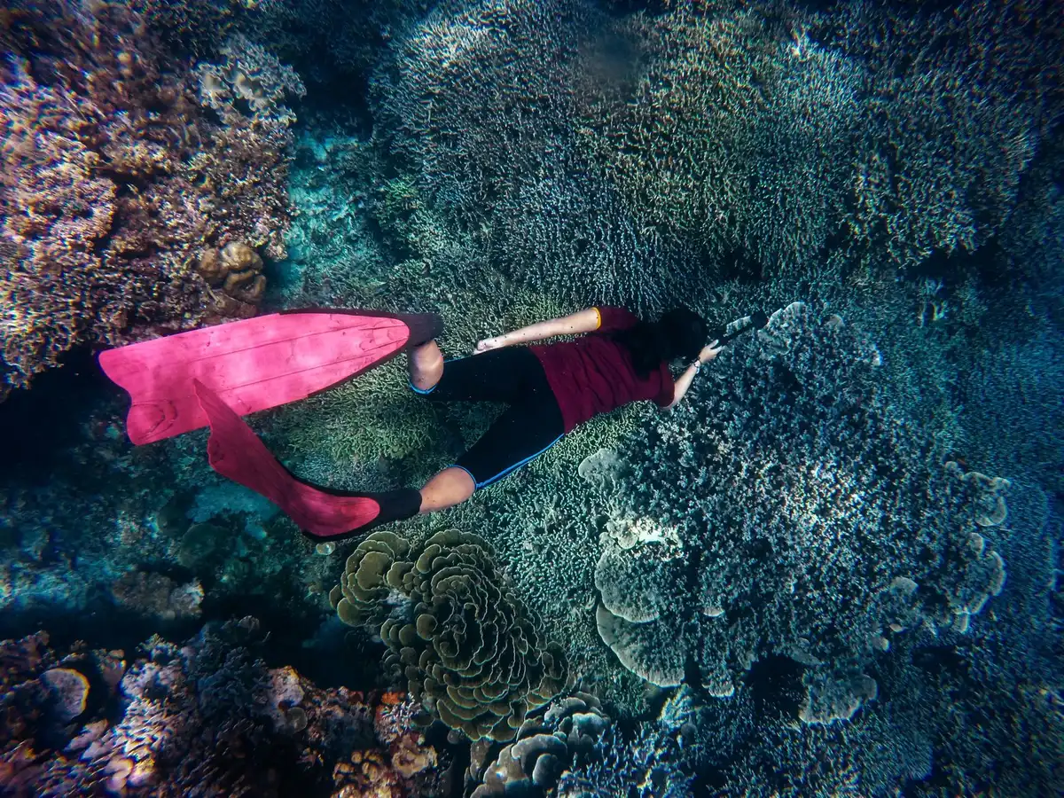 Plongeur avec masque et tuba explorant un récif corallien coloré