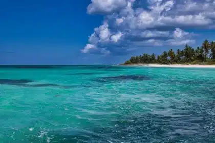 Plage tropicale avec eaux turquoise et palmiers, moment idéal pour les vacances à l'île Maurice