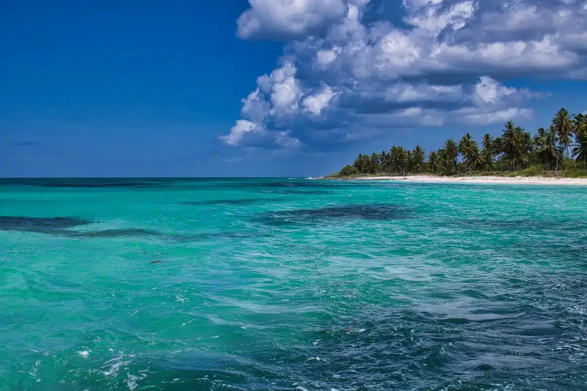 Plage tropicale avec eaux turquoise et palmiers, moment idéal pour les vacances à l'île Maurice