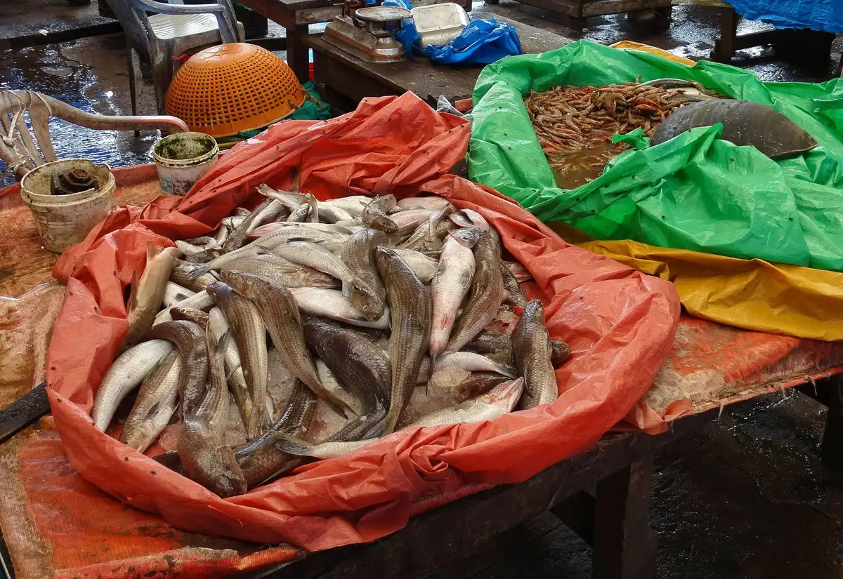 Étal de poissons et crustacés frais au marché ou au port