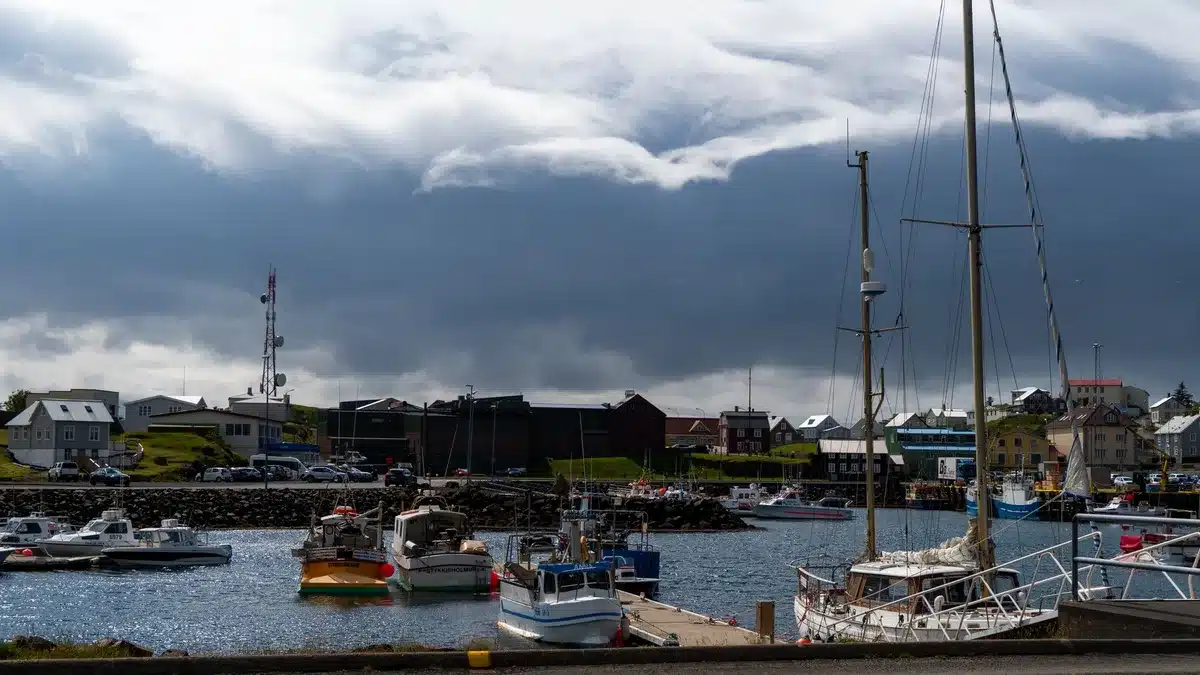 Vue sur un port avec bateaux amarrés et maisons blanches typiques du littoral atlantique