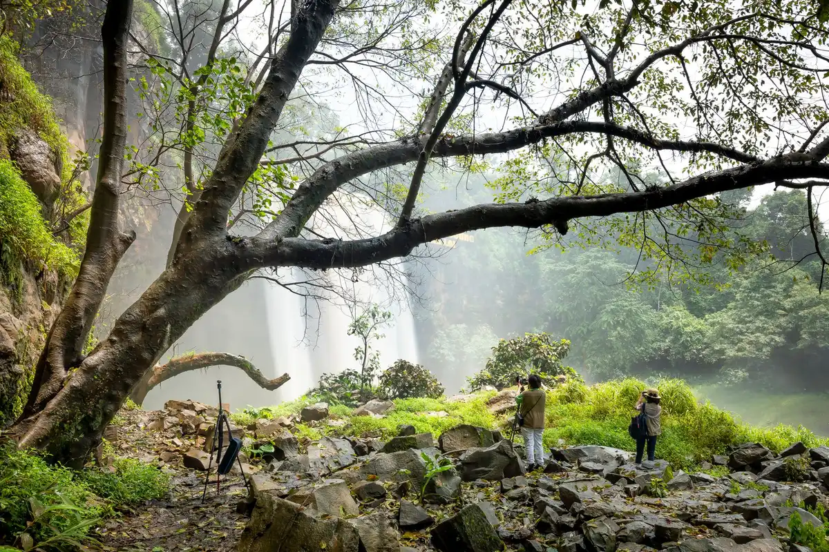 Sentier de randonnée ombragé dans une forêt tropicale avec cascade