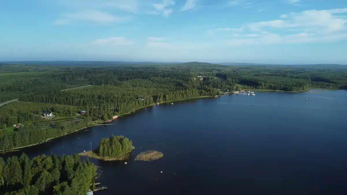 Paysage d'été finlandais avec lacs, forêts et lumière nordique