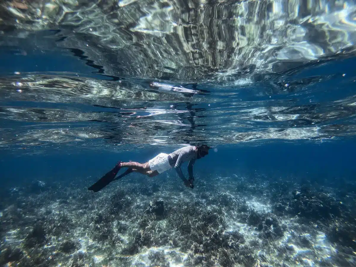 Plage tropicale avec eaux claires propices au snorkeling et à la baignade