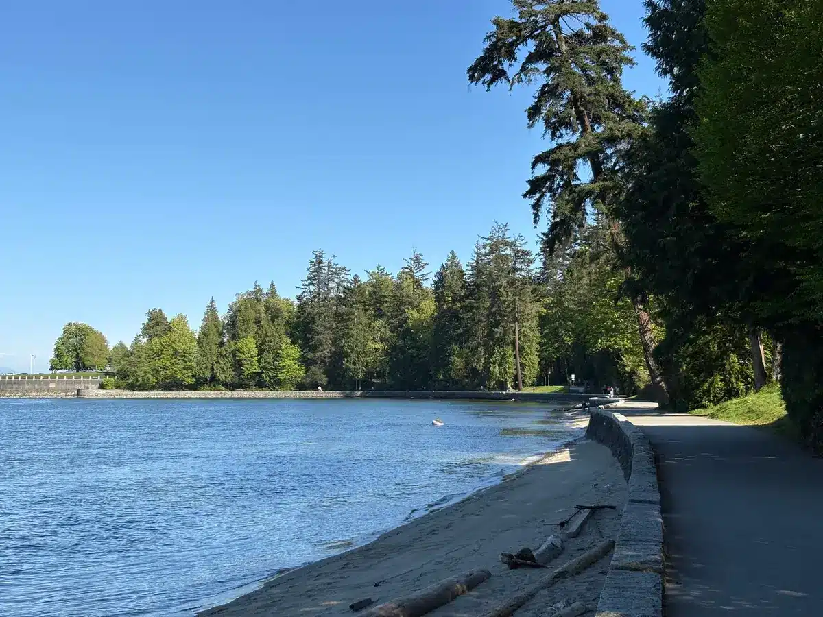 Cycliste sur la Seawall du Stanley Park avec vue sur l'eau et la forêt