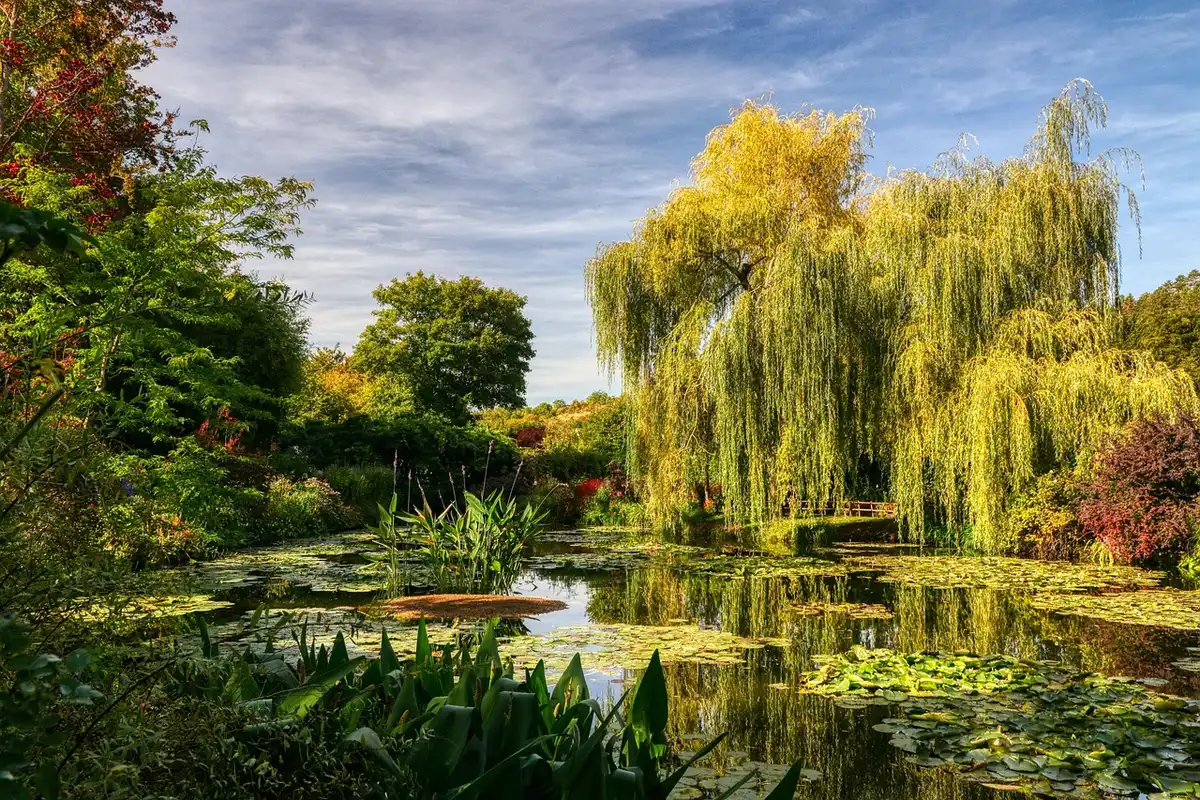 Bassin aux n&eacute;nuphars avec pont japonais dans les jardins de Giverny
