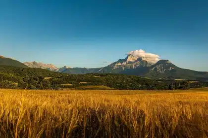 Route sinueuse à travers la campagne d'Île-de-France avec jardins fleuris et châteaux lointains