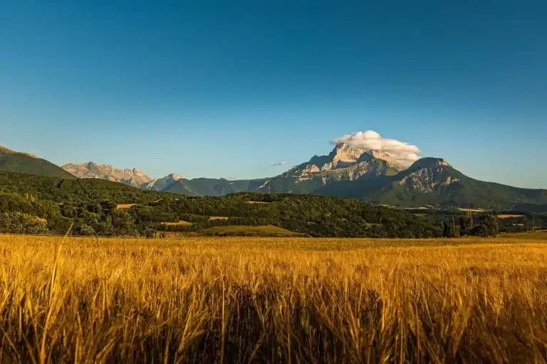Route sinueuse à travers la campagne d'Île-de-France avec jardins fleuris et châteaux lointains