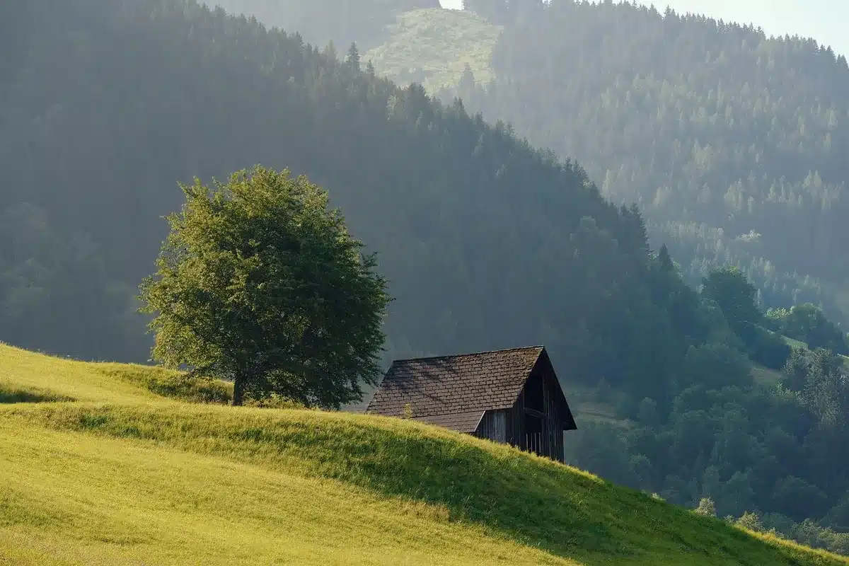 Cabane perchée en bois au milieu d'arbres dans le Perche
