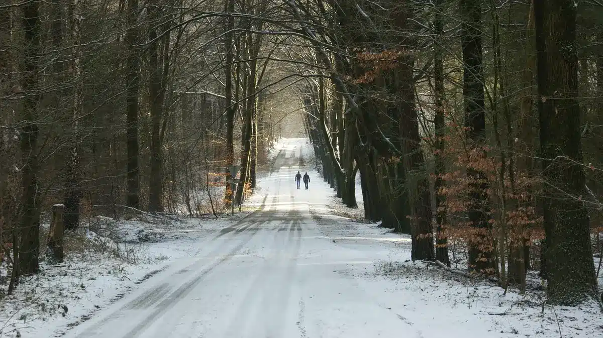 Sentier et falaises calcaires dans le parc naturel de Tenczynek