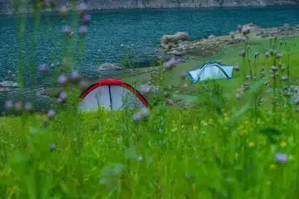 Tente de camping et équipements dans un environnement naturel verdoyant