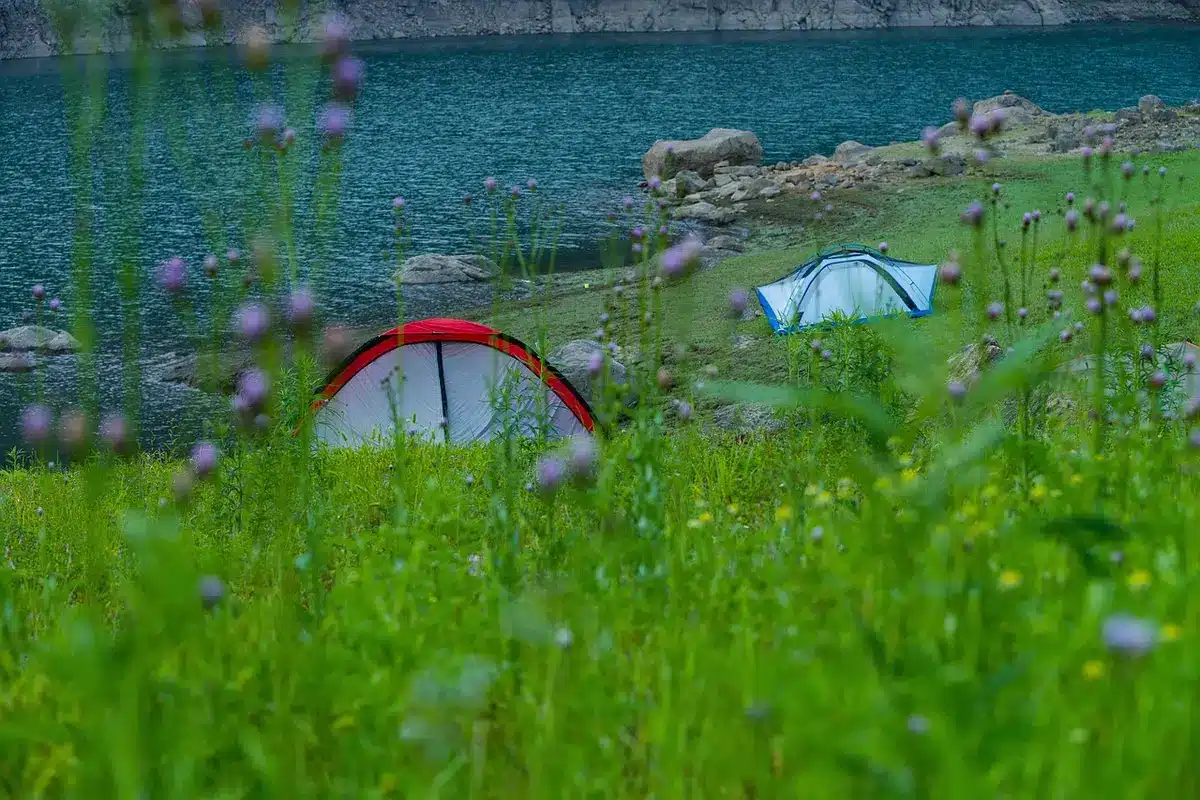 Tente de camping et équipements dans un environnement naturel verdoyant