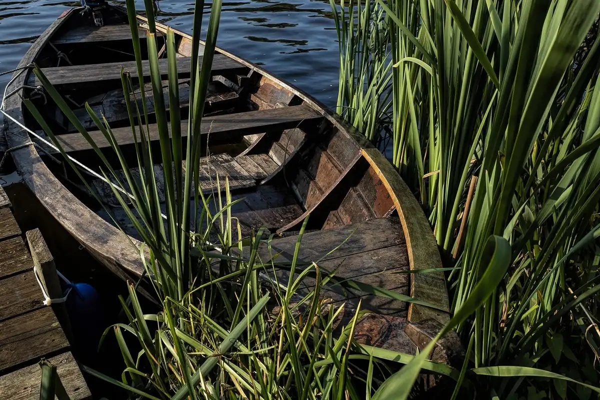 Barque amarrée au bord d'une rivière paisible entourée de végétation