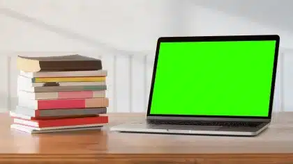 Personne travaillant sur un ordinateur portable dans un espace de coworking lumineux avec vue tropicale