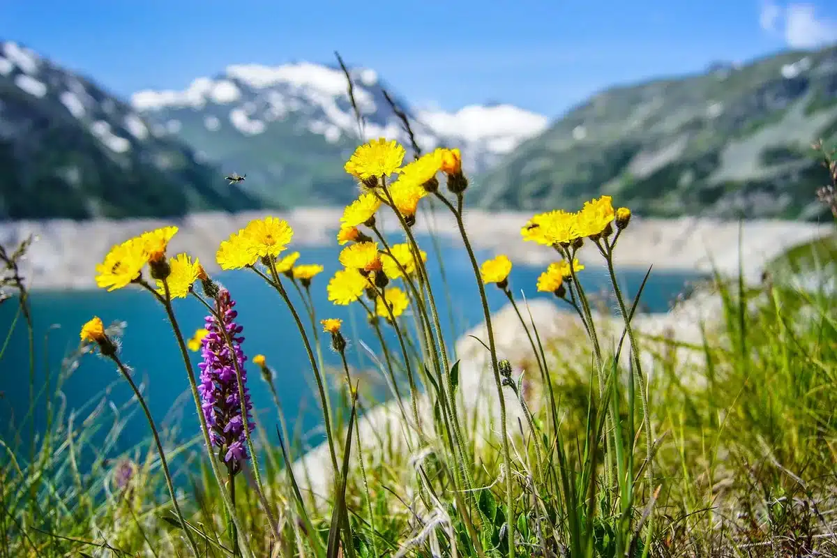 Le Seebensee au pied des parois rocheuses, eau turquoise