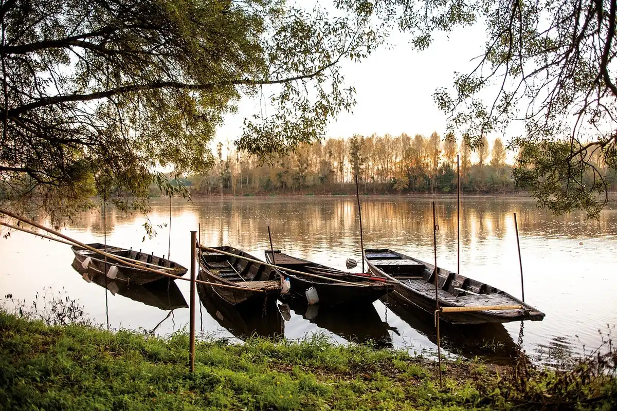 Bateau de promenade sur la Loire avec dégustation à bord en plein jour