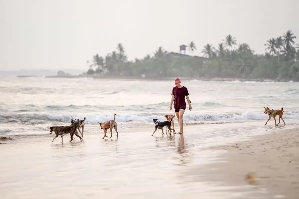 Accès à la plage depuis un sentier côtier avec enfants et familles