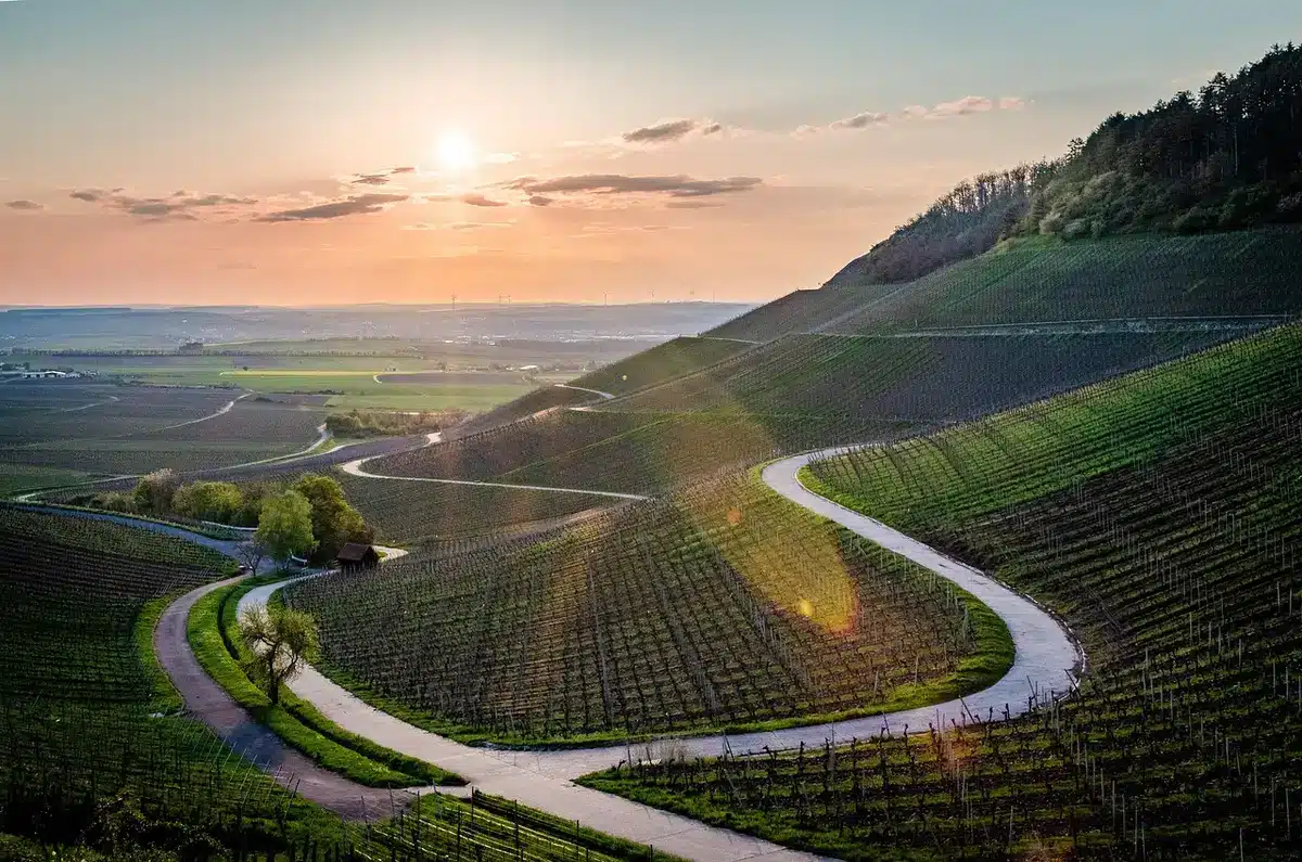 Route sinueuse traversant des vignobles et forêts avec villages perchés au loin