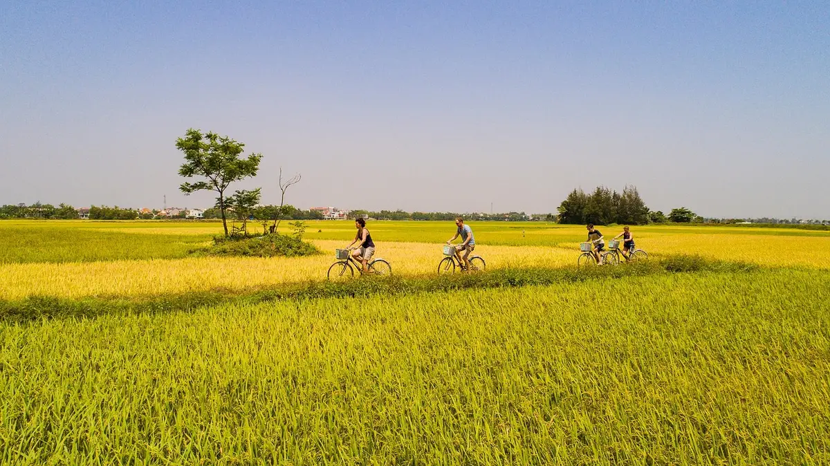 Cycliste parcourant les rizières verdoyantes de Mai Chau entre villages et paysages ruraux